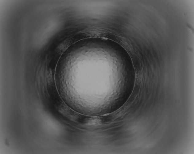 X0000091860335200709191121