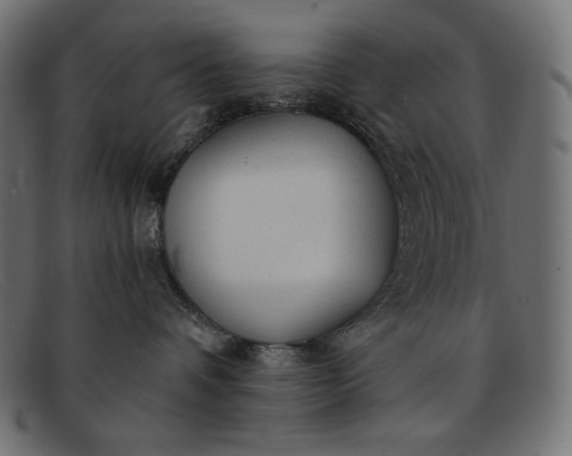 X0000091860336200709191121