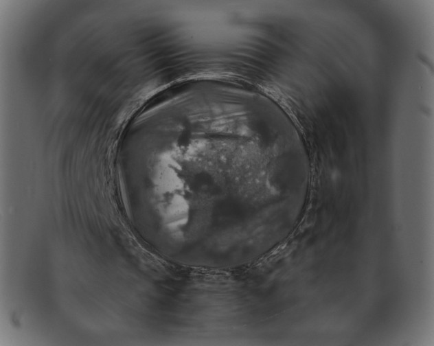 X0000091860337200709191120