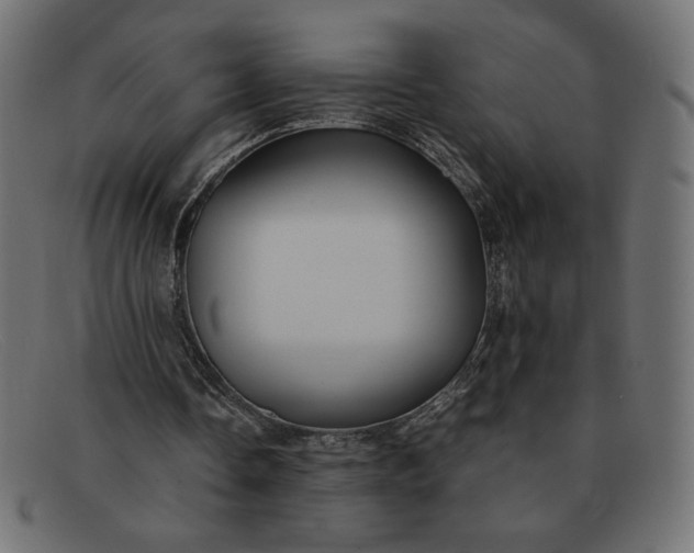 X0000091860338200709191120