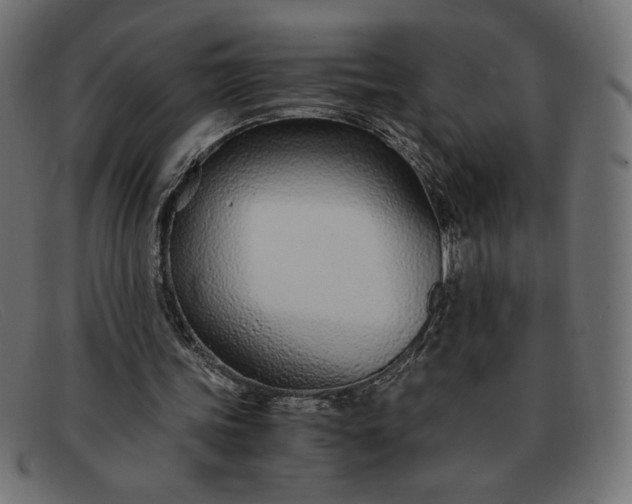 X0000091860339200709191120