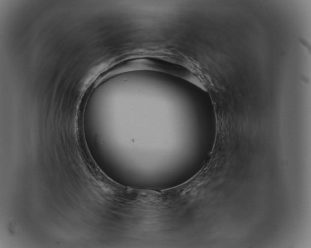 X0000091860340200709191120