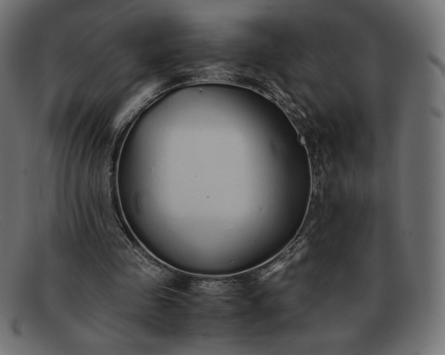 X0000091860341200709191120