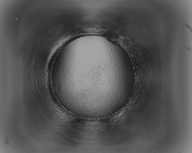 X0000091860342200709191120