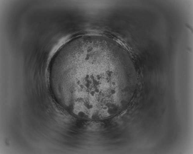 X0000091860343200709191120