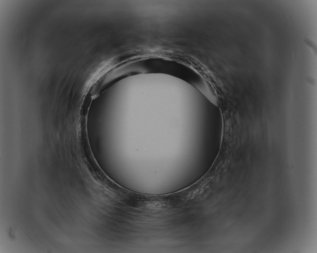 X0000091860344200709191120