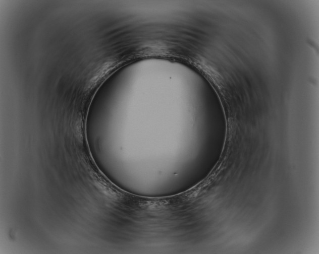 X0000091860345200709191120