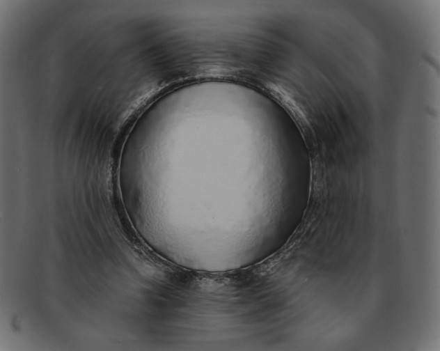 X0000091860346200709191120