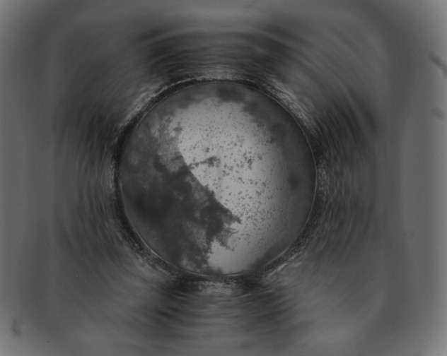 X0000091860347200709191120