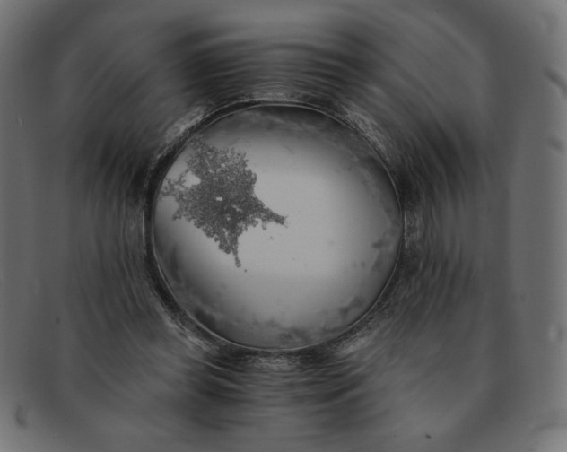 X0000091860349200709191120