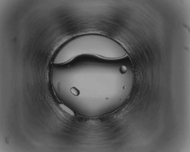 X0000091860350200709191120