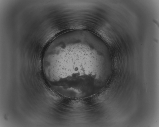 X0000091860351200709191120