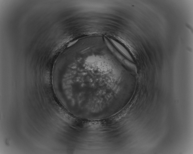 X0000091860353200709191120