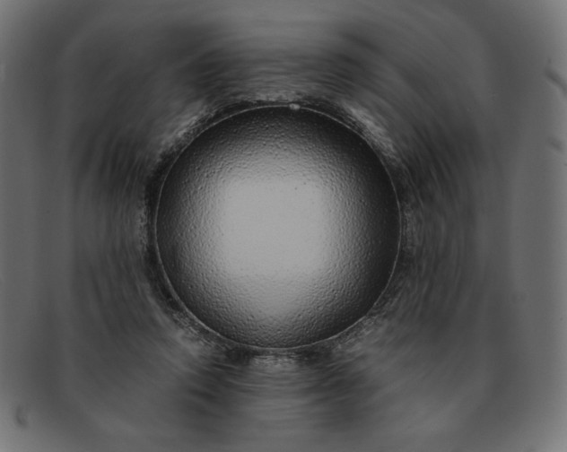 X0000091860354200709191120