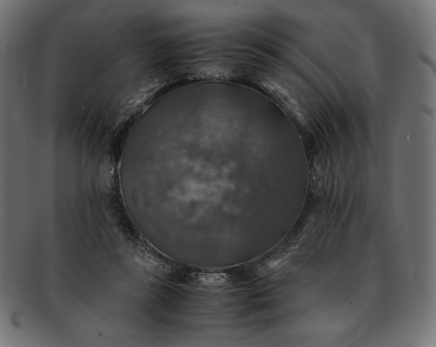 X0000091860355200709191120