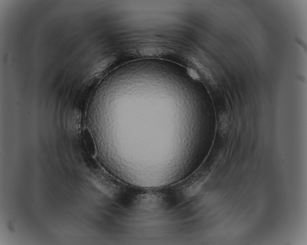 X0000091860356200709191120