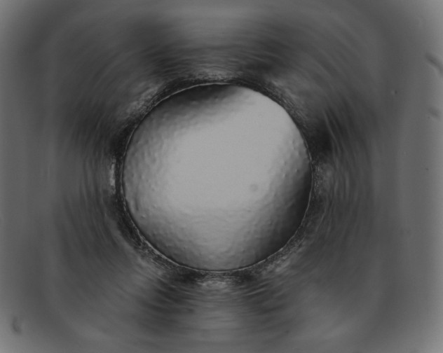 X0000091860358200709191120