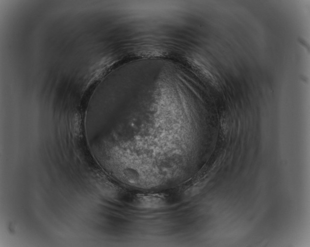 X0000091860359200709191120