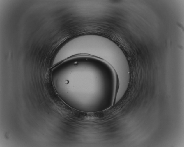 X0000091860360200709191120