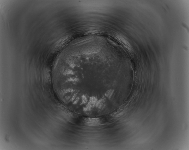 X0000091860361200709191120