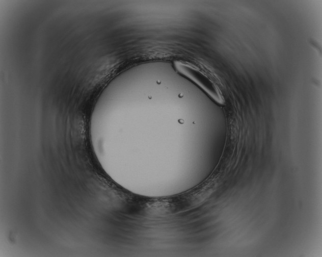 X0000091860362200709191120