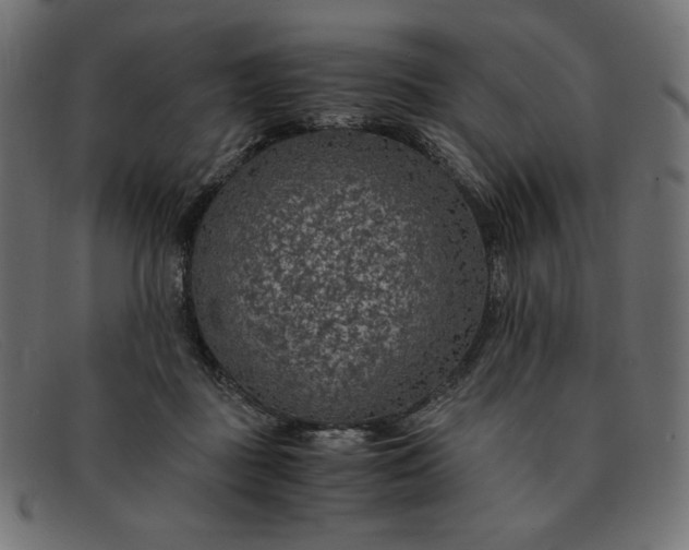 X0000091860363200709191120