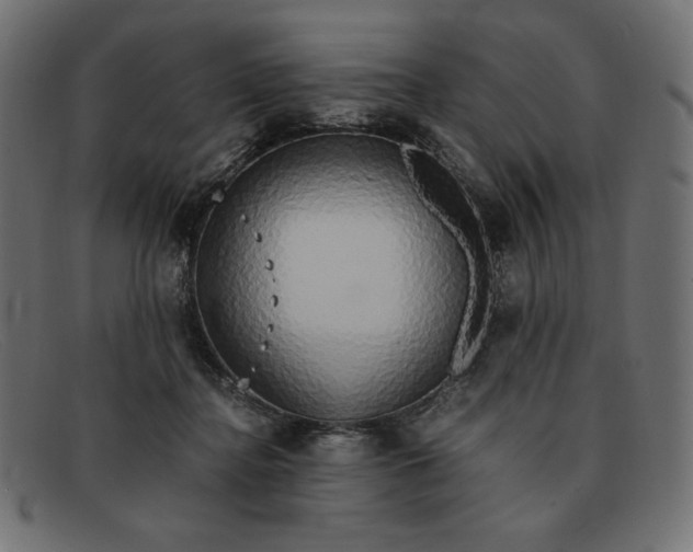 X0000091860364200709191120