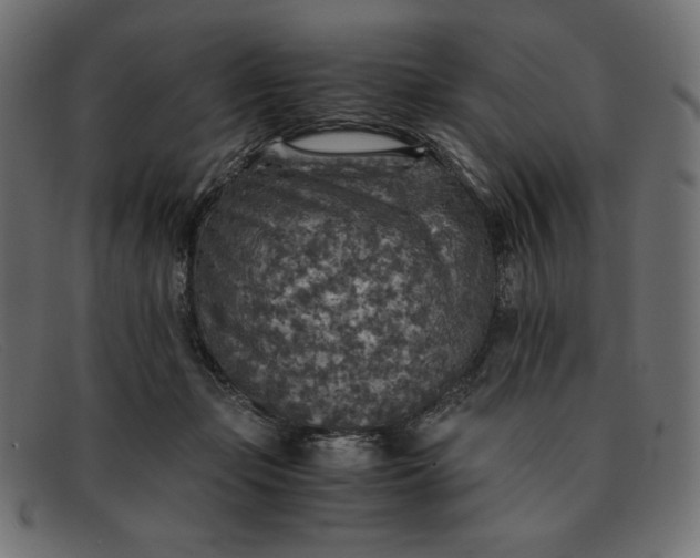 X0000091860365200709191120