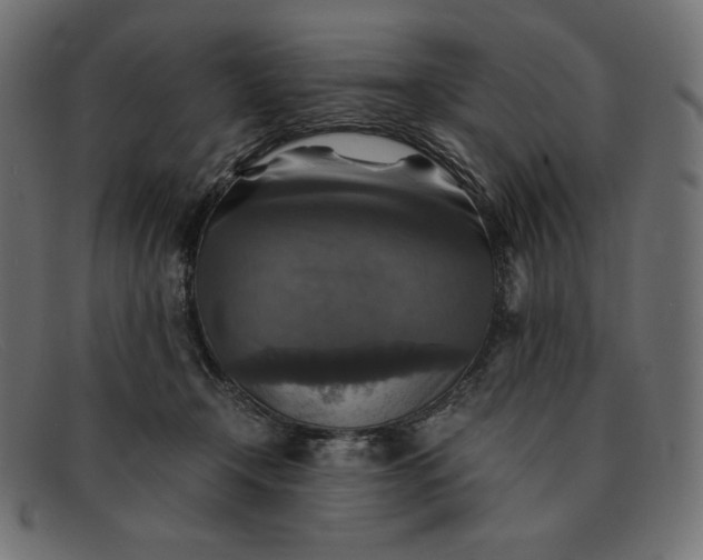 X0000091860366200709191120