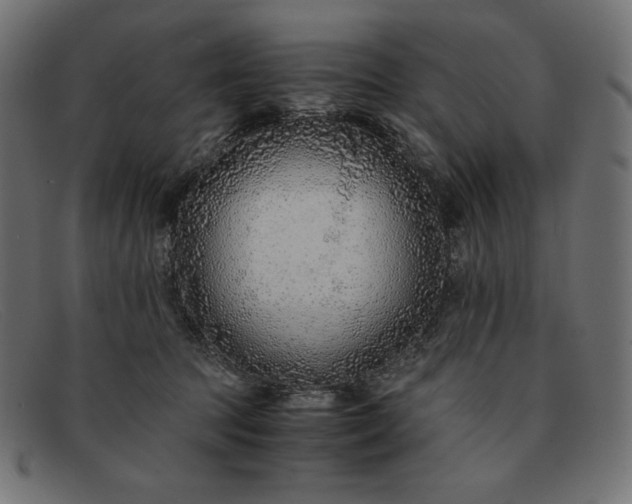 X0000091860369200709191120