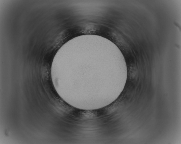 X0000091860370200709191120