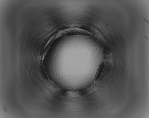 X0000091860372200709191120