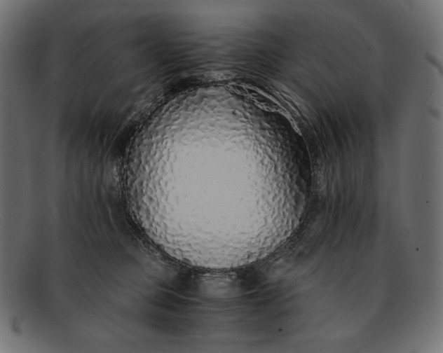 X0000091860373200709191120