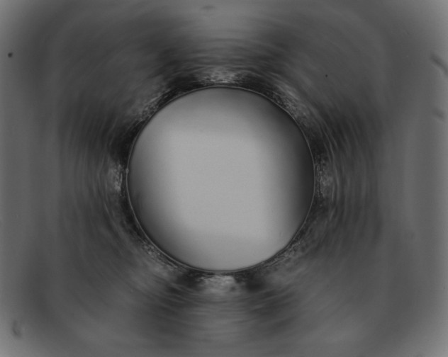 X0000091860374200709191121