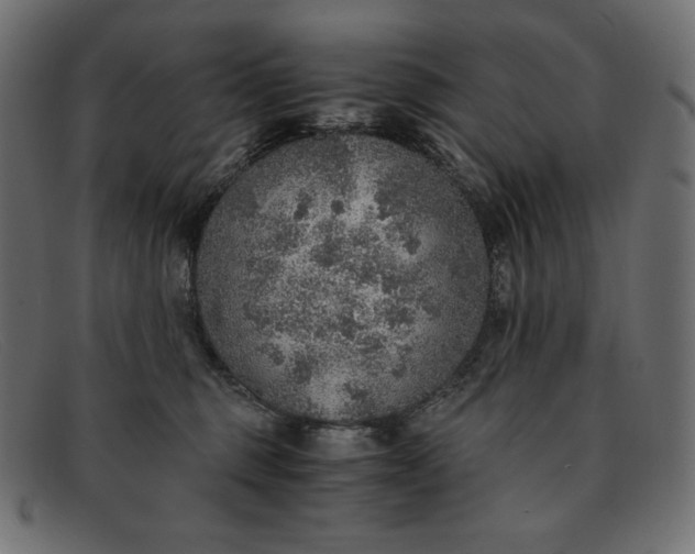 X0000091860375200709191121