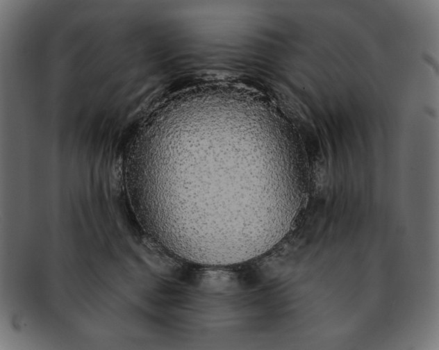 X0000091860376200709191121