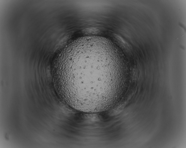 X0000091860377200709191121