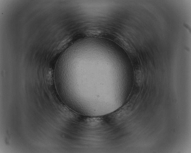 X0000091860378200709191121