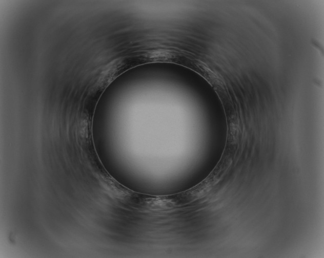 X0000091860379200709191121