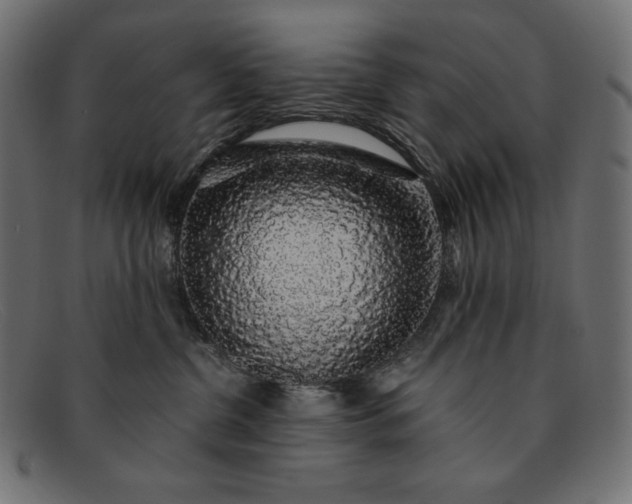 X0000091860380200709191121