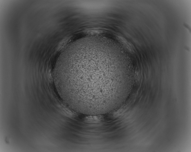 X0000091860381200709191121