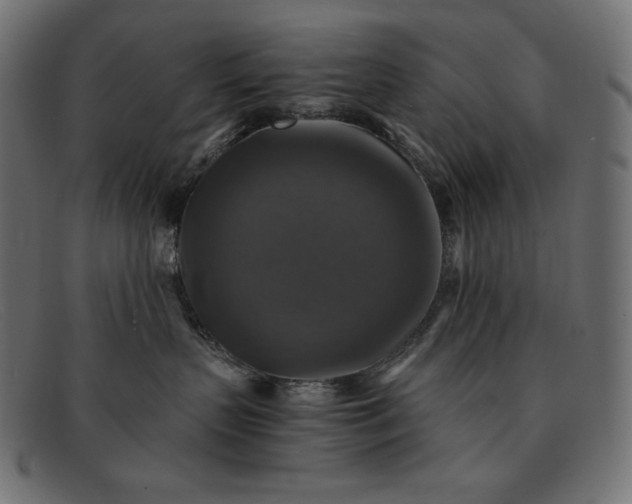 X0000091860383200709191121