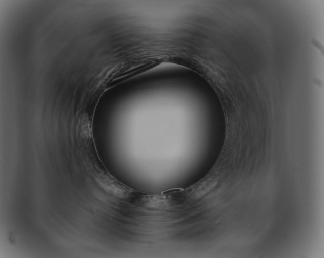 X0000091860384200709191121