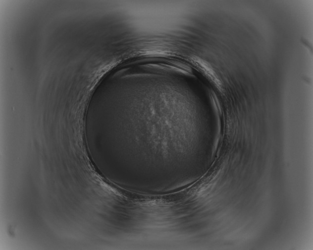 X0000091860385200709191120