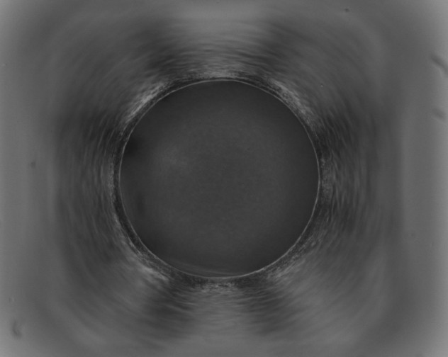 X0000091860386200709191120