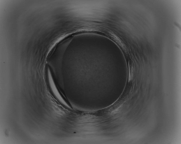 X0000091860387200709191120