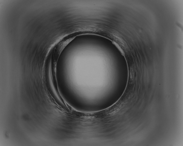 X0000091860388200709191120