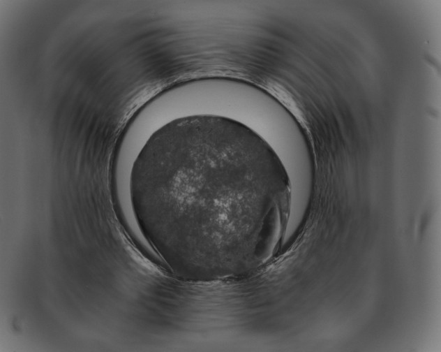 X0000091860389200709191120