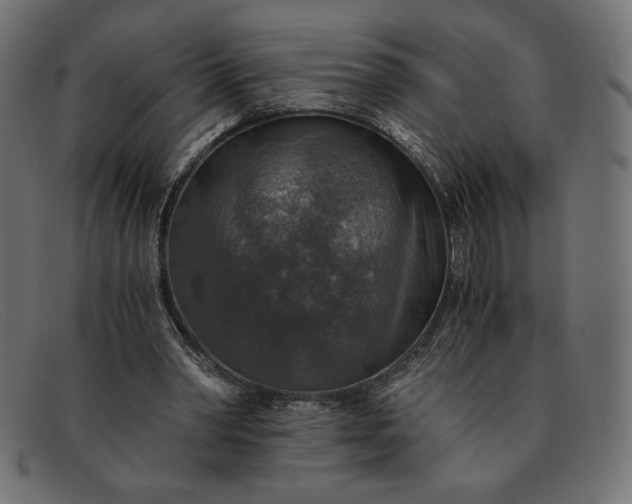 X0000091860390200709191120