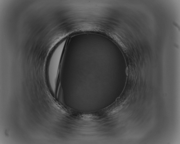 X0000091860391200709191120